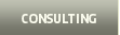 Consulting